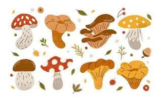 Big autumn set with mushrooms. Mushrooms are different forest. Chanterelles and fly agaric. Edible and poisonous mushrooms. Gribovnitsa and autumn recipe