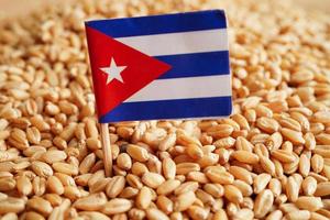 Cuba on grain wheat, trade export and economy concept. photo