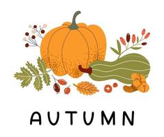 Autumn harvest, yellow leaves, berries and mushrooms. Orange pumpkin, green squash and squash. fall. vector