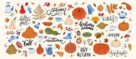 A large set with autumn oral leaves, pumpkin, sweater, tea and gloves. Leaf Fall, Mug, Pumpkin, Squash and Lettering Fall vector