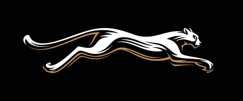Cheetah Fast Run Vector Illustration