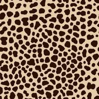 seamless pattern of cheetah skin in hand drawing style illustration vector