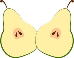 Half pear, illustration, vector on white background.