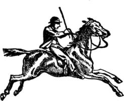 Horse-riding vintage illustration. vector