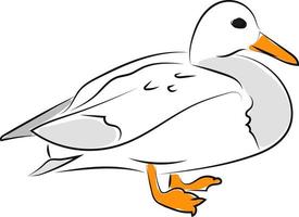 White duck, illustration, vector on white background.