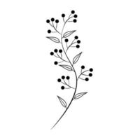 Floral set of hand drawn botanic elements. Vector