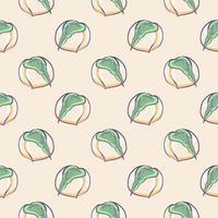 Apricot , seamless pattern on a white background. vector