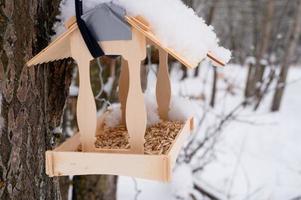 feeder winter birds care snow photo