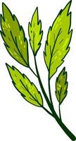 Green leaves, illustration, vector on white background.