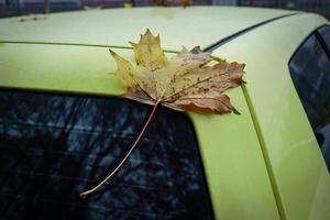 hoja de arce amarilla grande en la esquina trasera húmeda del coche amarillo cerca del parabrisas trasero con reflejo de árbol durante una temporada de otoño foto