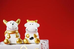 New year's toy of a bull and a cow with a gift on a red background. photo