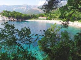 panoramic view of the turquoise lagoon surrounded by coniferous trees photo