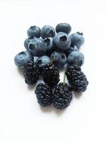 blueberries and mulberries on a white background photo