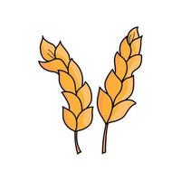 Two cartoon wheat ears on white background vector illustration. Orange simple hand-drawn drawing