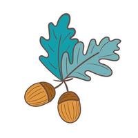 Two acorns isolated on white background. Autumn oak seeds. Simple hand drawn vector illustration icon