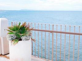 view of the sea through the bars on the breakwater photo