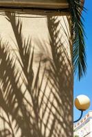 sombra de hojas de palma en una esquina de una pared beige foto