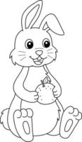 Rabbit Holding Mandarin Isolated Coloring Page vector