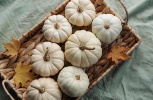 White pumpkins and autumn leaves on a wicker tray. photo