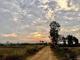 cielo azul con plantas de arroz, campos verdes y campos de arroz durante la temporada de lluvias de la provincia de prachinburi, tailandia, fondo paisajístico. foto