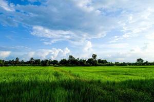 Blue sky and clouds and fields with trees, Nature landscape background in rainy season photo