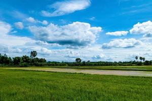 Blue sky and clouds and fields with trees, Nature landscape background in rainy season photo