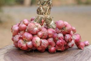 Shallots still on wood background photo