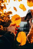 Leaf in hand photo