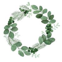 watercolor drawing. Christmas wreath. simple illustration with a wreath of twigs and leaves of eucalyptus and red berries vector