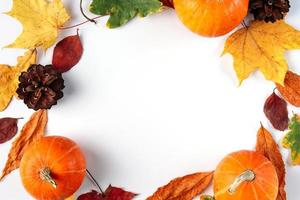 Decorative autumn composition of leaves, berries and pumpkins on white background. photo