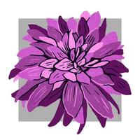 Purple hand drawn dahlia flower. Modern flat fashion vector illustration.