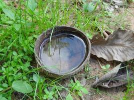 una cáscara de coco tiene agua. hace que el mosquito ponga huevos causando un brote de dengue en Tailandia. foto