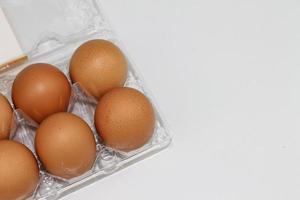 vista cercana de huevos de pollo crudos en caja de huevo sobre fondo blanco blanco foto