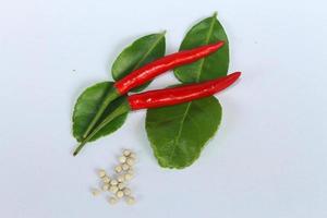 bergamot leaf with chilli and peppers on white background photo