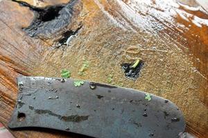 wooden Chopping board and  knife photo