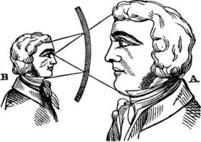 Magnified Face in a Concave Mirror, vintage illustration. vector