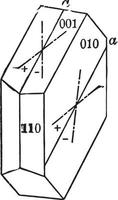 Extinction Angles, vintage illustration. vector