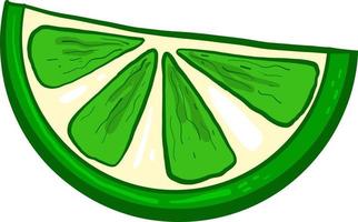 Slice of lime, illustration, vector on white background.