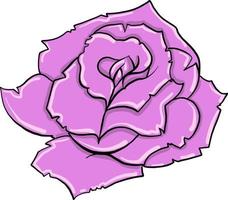 Pink rose , illustration, vector on white background