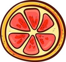 Grapefruit slice, illustration, vector on a white background.