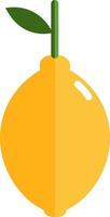 Yellow lemon, illustration, vector on white background.