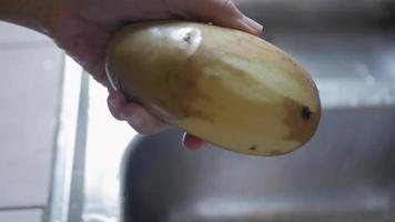 hand- gebruik makend van dunschiller naar Pel aardappel huid voorbereidingen treffen voor Koken video