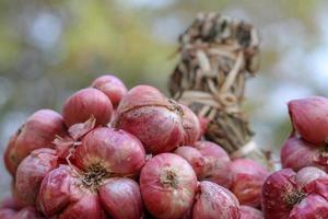 Shallots still on wood background photo