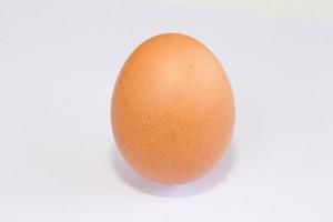 huevos de gallina marrones, aislados en un fondo blanco foto