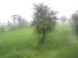 Window glass with condensation high humidity , large droplets flow down , Green Natural water drop background. photo