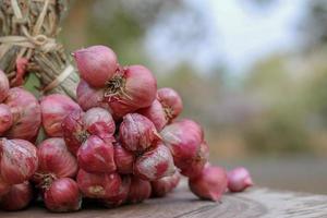 Shallots still on wood background photo