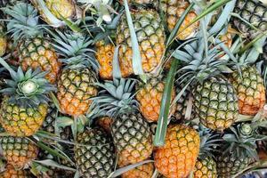 Many pineapples are placed for sale to tourists. photo