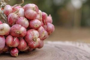 Shallots still on wood background photo