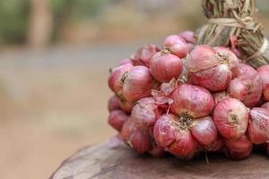 Shallots still on wood background photo