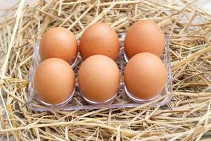 eggs product protein yolk chicken easter shell tray mockup on rice straw background. photo
